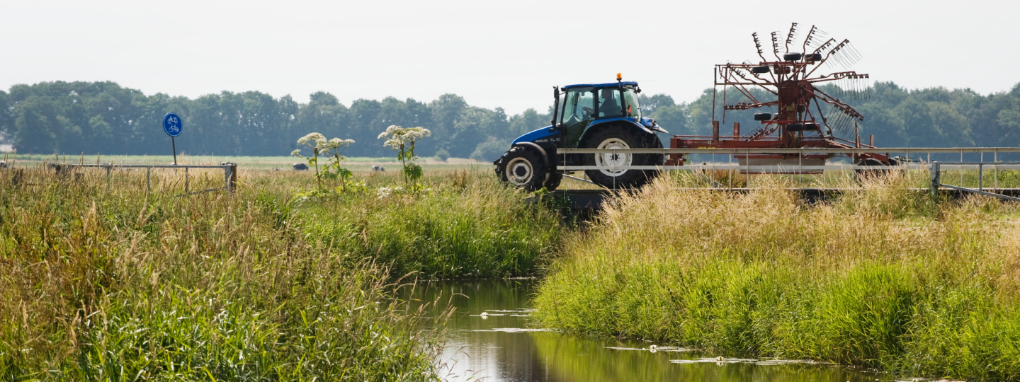 trekker op het land