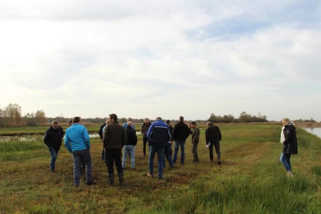 Pilot Baarlingerpolder np weerribbenwieden