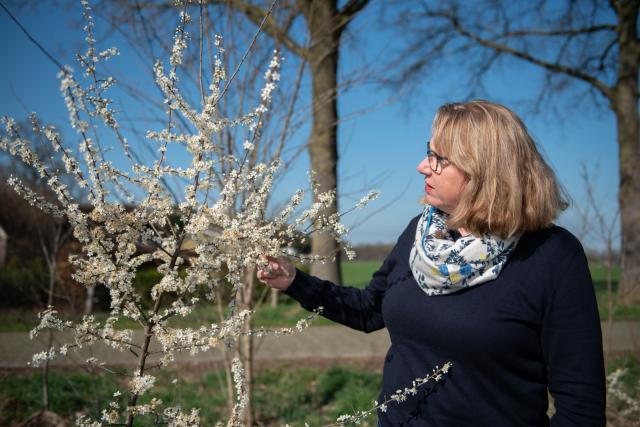 Birgitte Keijzer boom in bloei